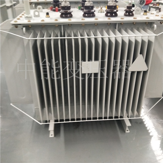 定西S20-800KVA变压器