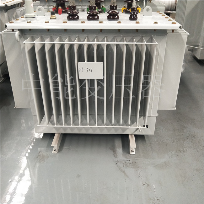 定西S20-1250KVA/10KV变压器