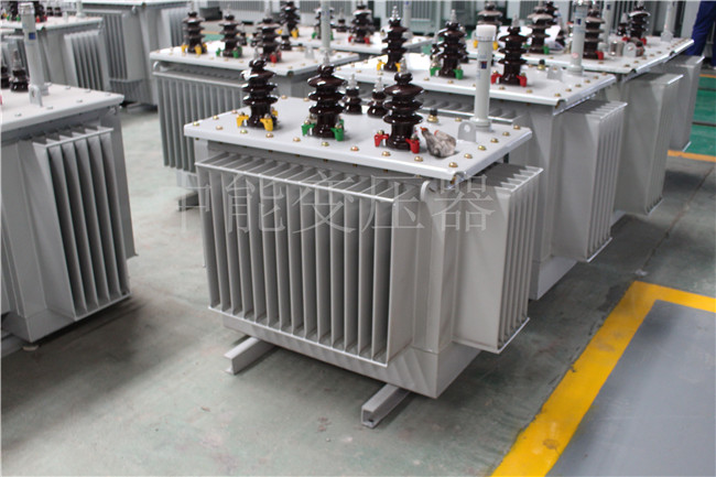 定西S22-100KVA/10KV/0.4KV变压器